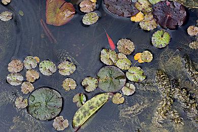 十年彩蛋！《传说之下》boss战主题曲灵感源自《女神异闻录4》